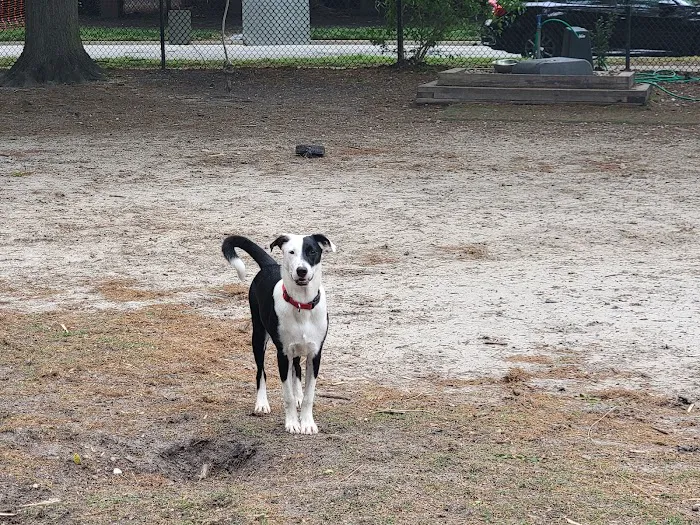 Colonial Place Dog Park 10