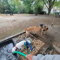 Colonial Place Dog Park ico