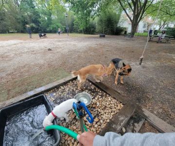 Colonial Place Dog Park
