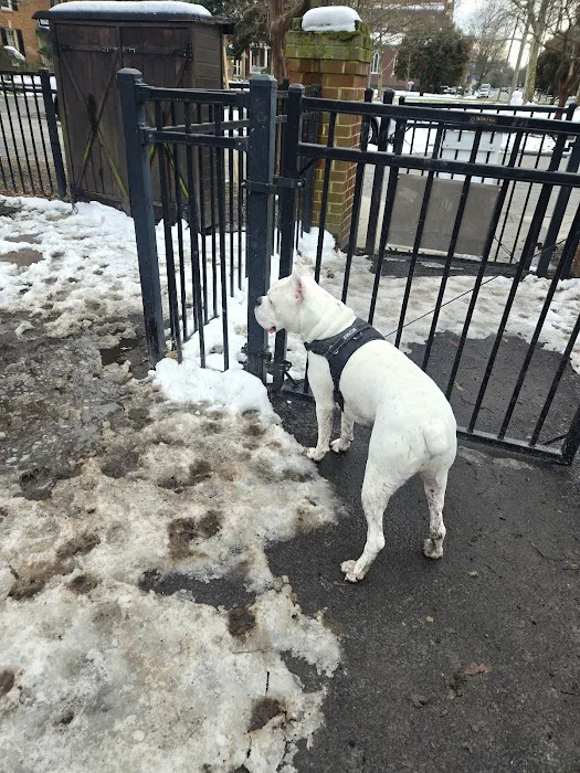 Ghent Dog Park 1