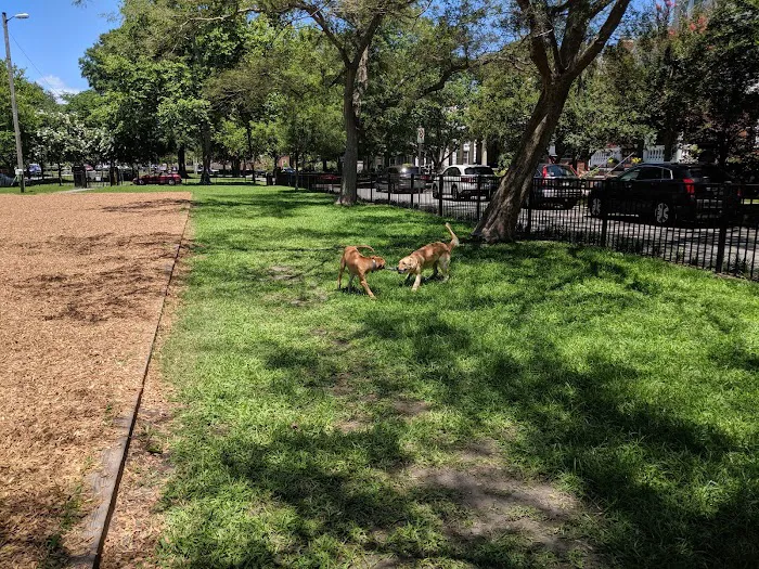 Ghent Dog Park 4