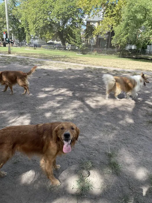 Ghent Dog Park 2