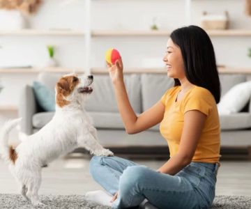 How to Train a Dog to Sit and Stay: Effective Techniques for Obedient Pets