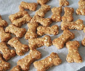 Homemade Treats for Diabetic Dogs: Healthy and Low-Sugar Snack Ideas