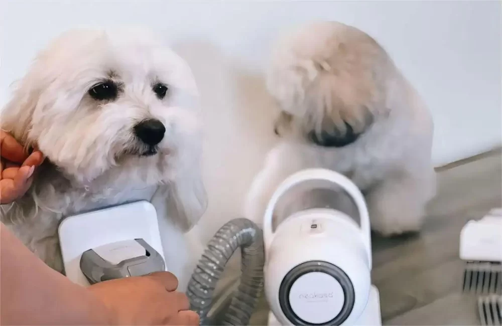 Effective Techniques for Grooming Dogs with Matted Hair and Thick Fur
