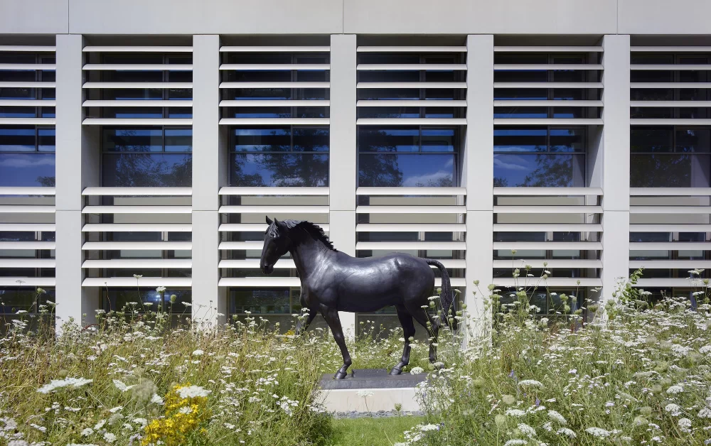 Discovering the Legacy of A A Felder at the Royal Veterinary College
