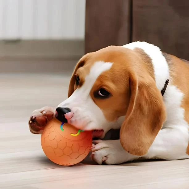 Best Toys for Dogs Who Love to Chew and Play: Durable and Fun Choices
