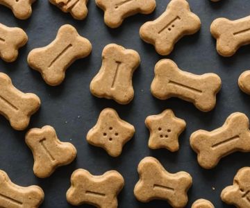 Delicious and Healthy Homemade Dog Treats with Peanut Butter Recipes