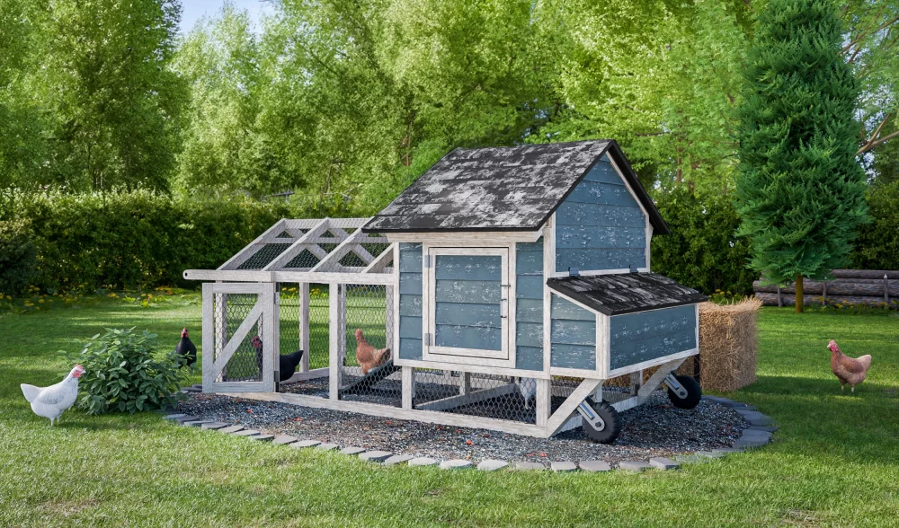 How to Build a Backyard Chicken Coop for Beginners and Small Spaces