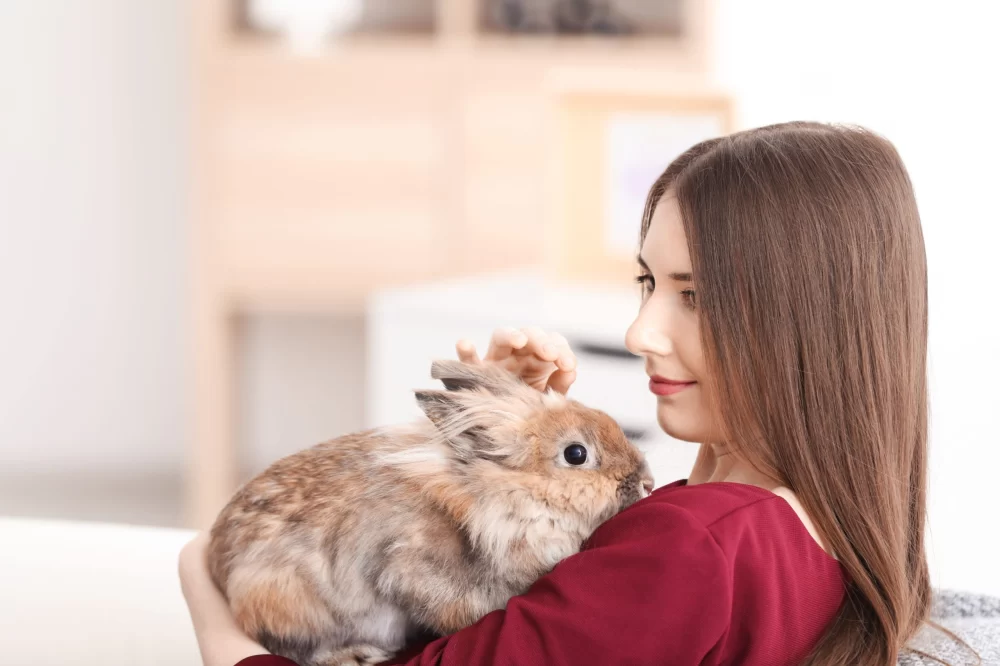 Recognizing the Signs of Illness in Rabbits: Essential Guide for Rabbit Owners