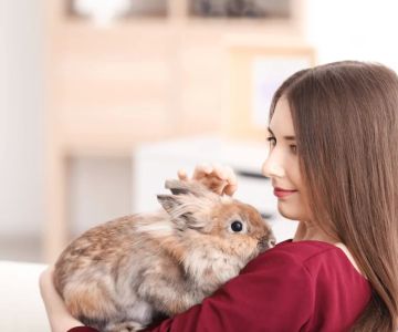 Recognizing the Signs of Illness in Rabbits: Essential Guide for Rabbit Owners