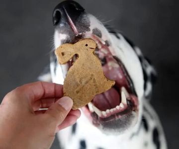 How to Make Homemade Treats for Rabbits with Allergies That Are Safe and Delicious
