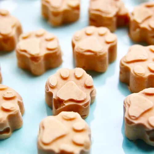 Homemade Dog Treats Recipes: Easy and Healthy DIY Treats Your Dog Will Love