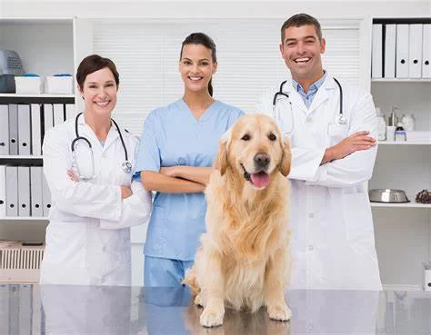 What Does a Veterinary Practice Manager Do? Exploring Roles and Responsibilities