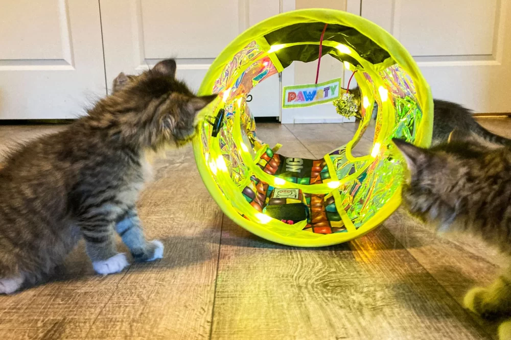 Best Toys for Cats Who Love to Hunt and Play – Expert Recommendations for Active Felines