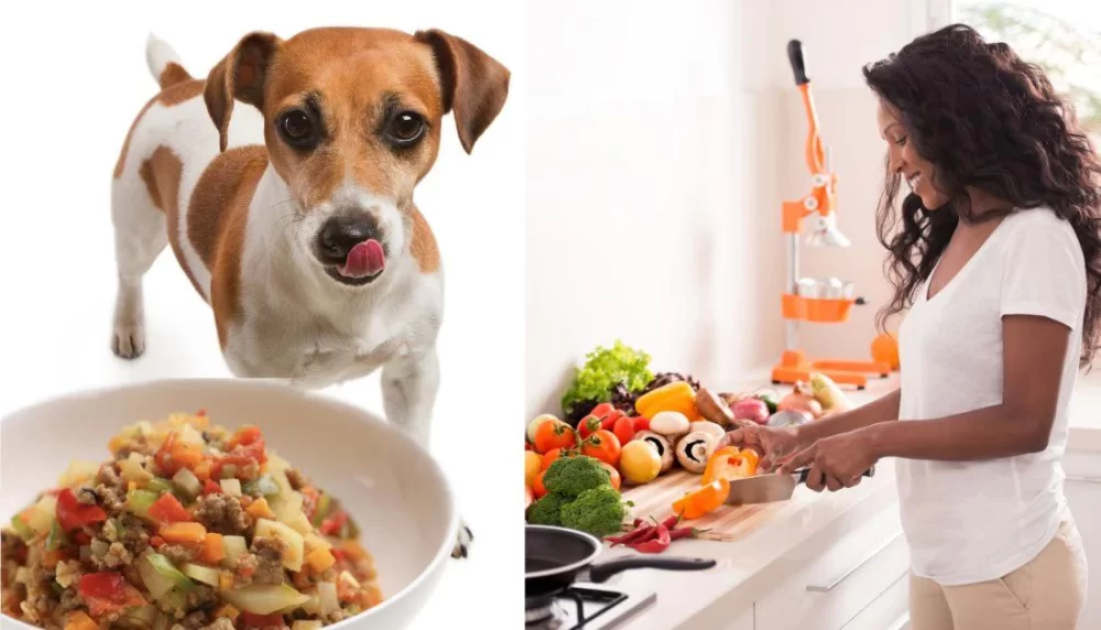 Homemade Dog Food for Sensitive Skin – A Complete Guide for Pet Owners