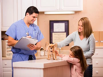 How Much Do Veterinary Technicians Make Per Year? A Detailed Salary Guide