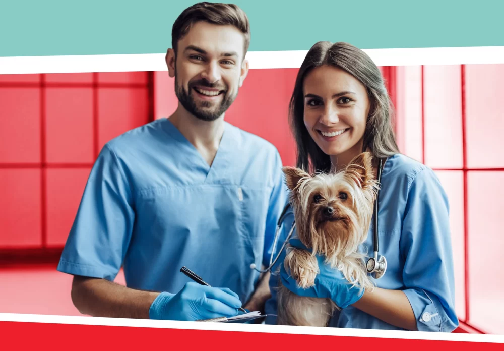 How Much School Does a Veterinarian Need? Understanding Veterinary Education Requirements