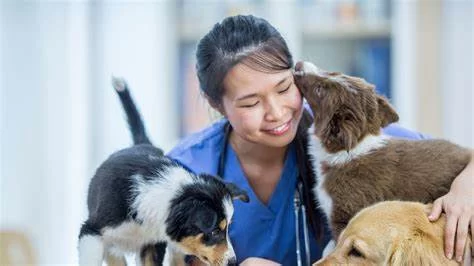 De Auxiliar Veterinaria: A Comprehensive Guide to Becoming a Veterinary Assistant