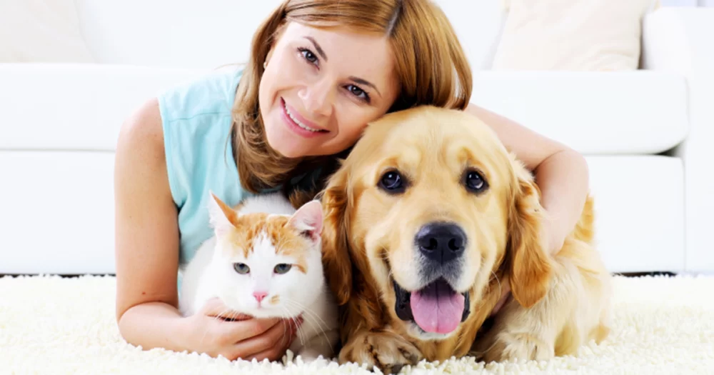 How Veterinary Clinic Seri Alam Provides Trusted Pet Care Services