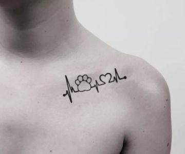 Can You Have Tattoos as a Veterinarian? Professional Appearance and Personal Expression