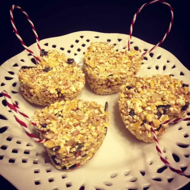 How to Make Homemade Bird Treats for Parakeets and Small Birds: A Comprehensive Guide