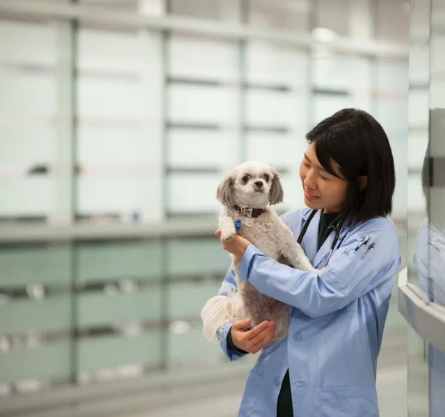 Can a PhD in Zoology Become a Veterinarian? Exploring Career Paths and Requirements