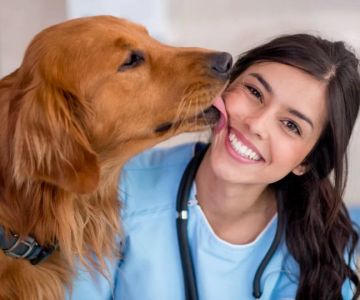 Can a Vet Tech Become a Veterinarian? A Clear Path to Advancing Your Veterinary Career