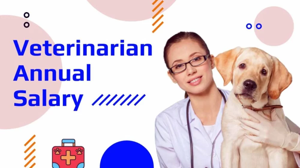 How Much Do You Get Paid as a Veterinarian? A Comprehensive Look at Vet Salaries
