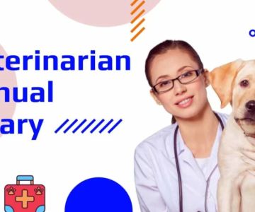 How Much Do You Get Paid as a Veterinarian? A Comprehensive Look at Vet Salaries