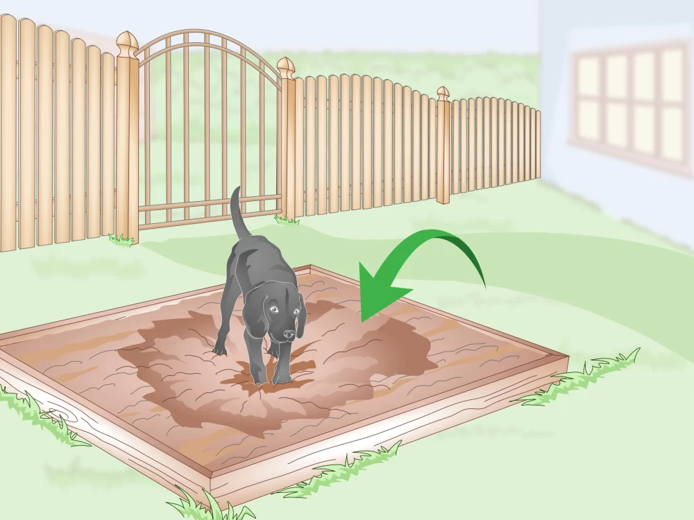 Effective Ways on How to Stop Dogs from Digging Holes in Yard and Garden