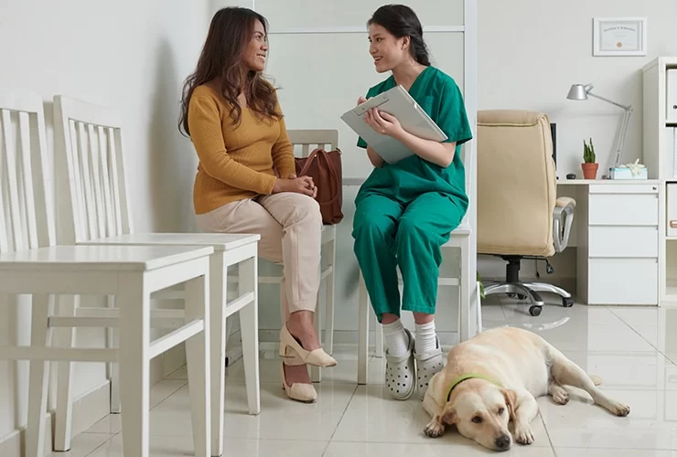Cuánto Dura la Carrera de Veterinaria en Estados Unidos: Guía Completa