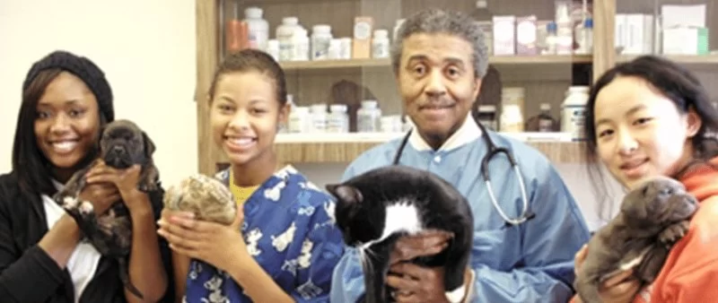 How to Increase Diversity in Veterinary Medicine