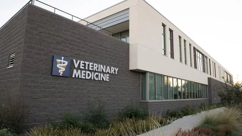 Does UCLA Have a Veterinary Program?