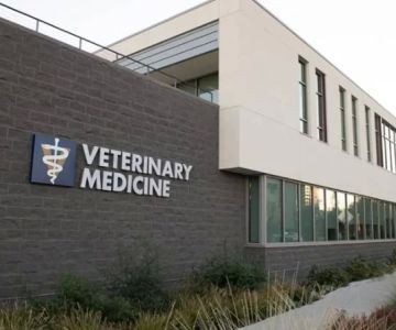Does UCLA Have a Veterinary Program?