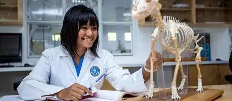 What Does Associate Veterinarian Mean and What Do They Do?