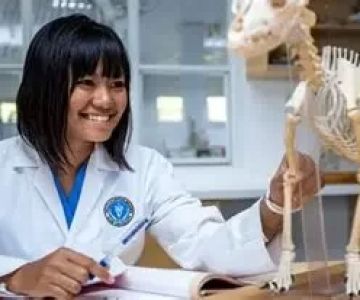 What Does Associate Veterinarian Mean and What Do They Do?