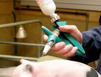 What Is a Veterinarian Gun? Understanding Its Uses and Importance in Animal Care