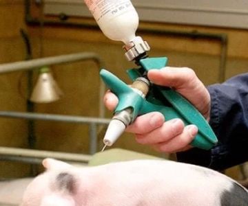 What Is a Veterinarian Gun? Understanding Its Uses and Importance in Animal Care