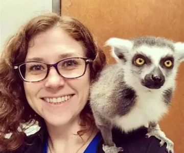 What to Major in to Be a Veterinarian: Best Degrees for Veterinary Careers