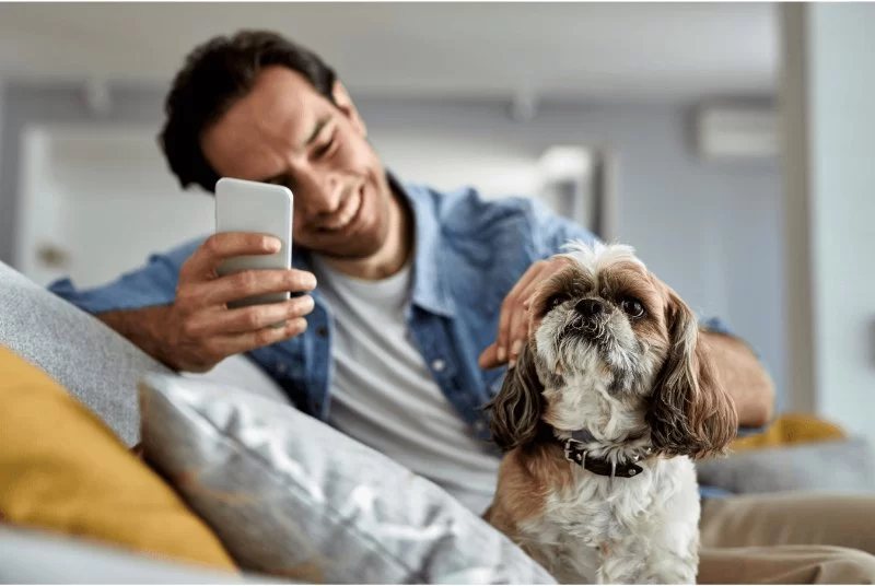 Automated Reminder Tools for Your Pet’s Next Vaccination or Exam in 2025