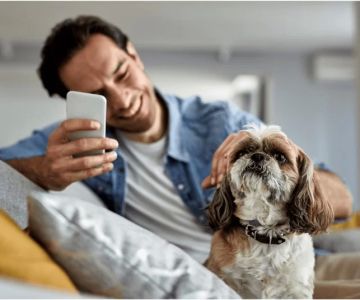 Automated Reminder Tools for Your Pet’s Next Vaccination or Exam in 2025