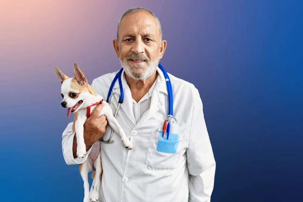 What Is a Veterinarian? Exploring the Role, Passion, and Impact of Animal Doctors