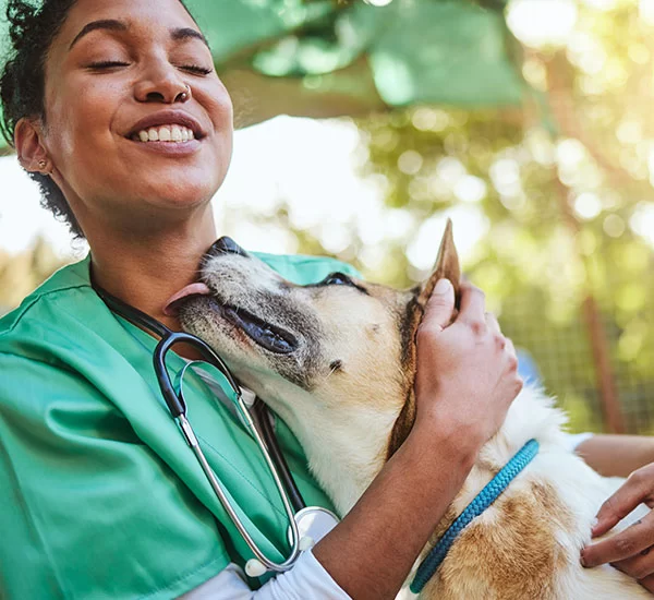 Can Veterinary Assistants Intubate? Duties, Laws, and Practical Insights