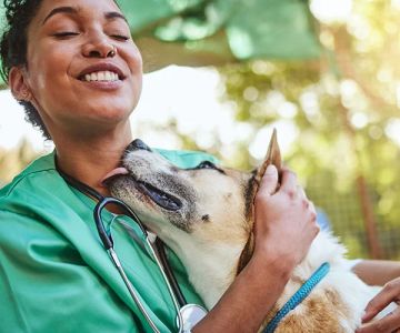 Can Veterinary Assistants Intubate? Duties, Laws, and Practical Insights