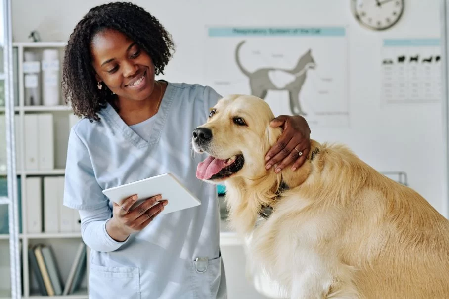Can You Get Your Veterinary Degree Online? A Detailed Guide for Aspiring Vets