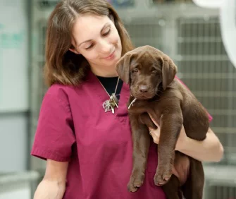 What Do Veterinary Technicians Do? Detailed Insights Into Their Vital Role