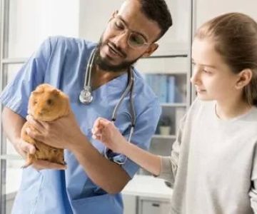 How Much Does Schooling Cost to Become a Veterinarian