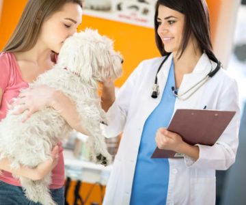 Is Being a Veterinarian a Good Career? Honest Insights, Real Stories & Growth Potential