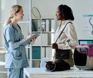 Comprehensive Guide to A to Z Veterinary Supply for Modern Pet Owners